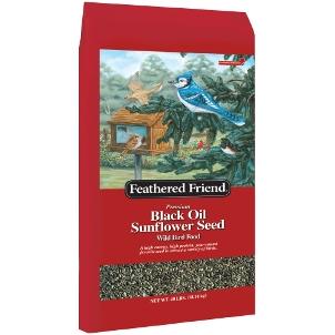 Black Sunflower Bird Seeds, 40-pound Bag For Wild Birds