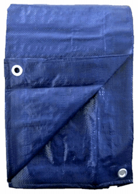 Blue Polyethylene Storage Tarp Cover, 20′ X 30′, Medium Duty